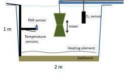 Figure credit: Heidrun Feuchtmayr