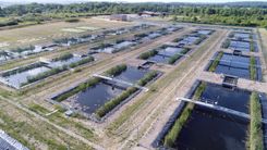 1) Aerial view of the Experimental Lake Platform