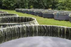 Series of 30 mesocosms, Photo credit: Beaumont/INRA