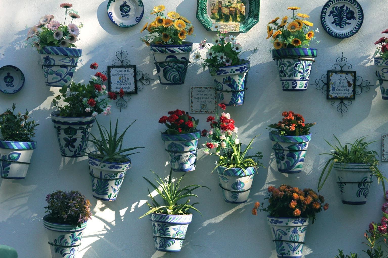 Plantas en la decoración del hogar. Casas de Instagram.