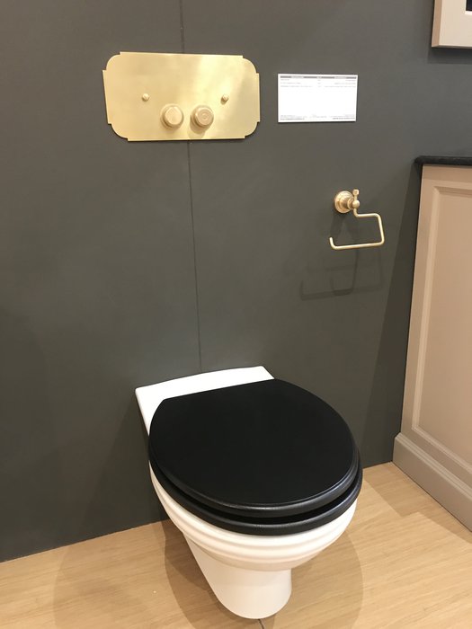 Classic wall mounted WC with retro control plate