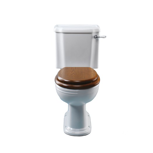 Victorian monobloc toilet for the classic style bathroom