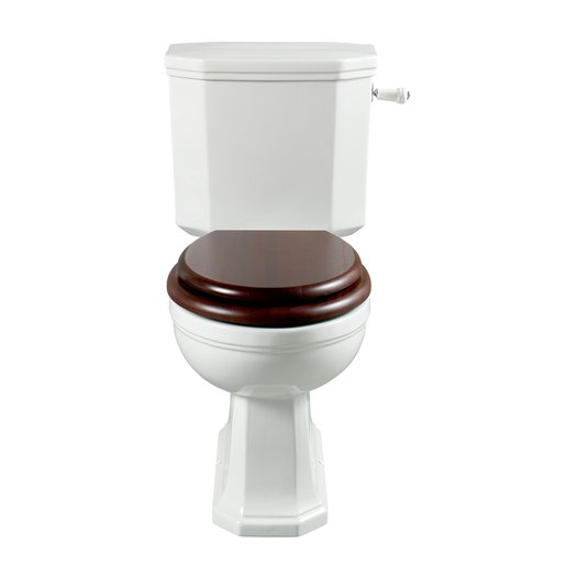 Art Nouveau WC met monobloc spoelreservoir