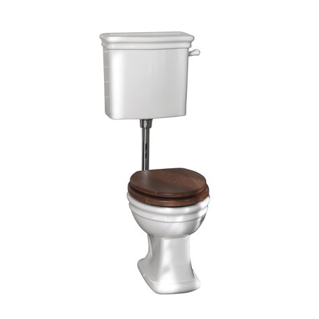 Loxley classic toilet with low level cistern
