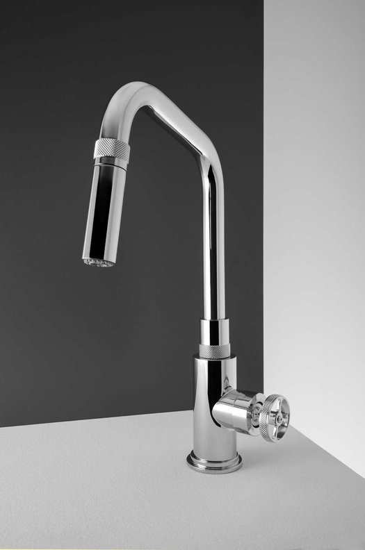 Arena design kitchen tap with pull-out hand shower