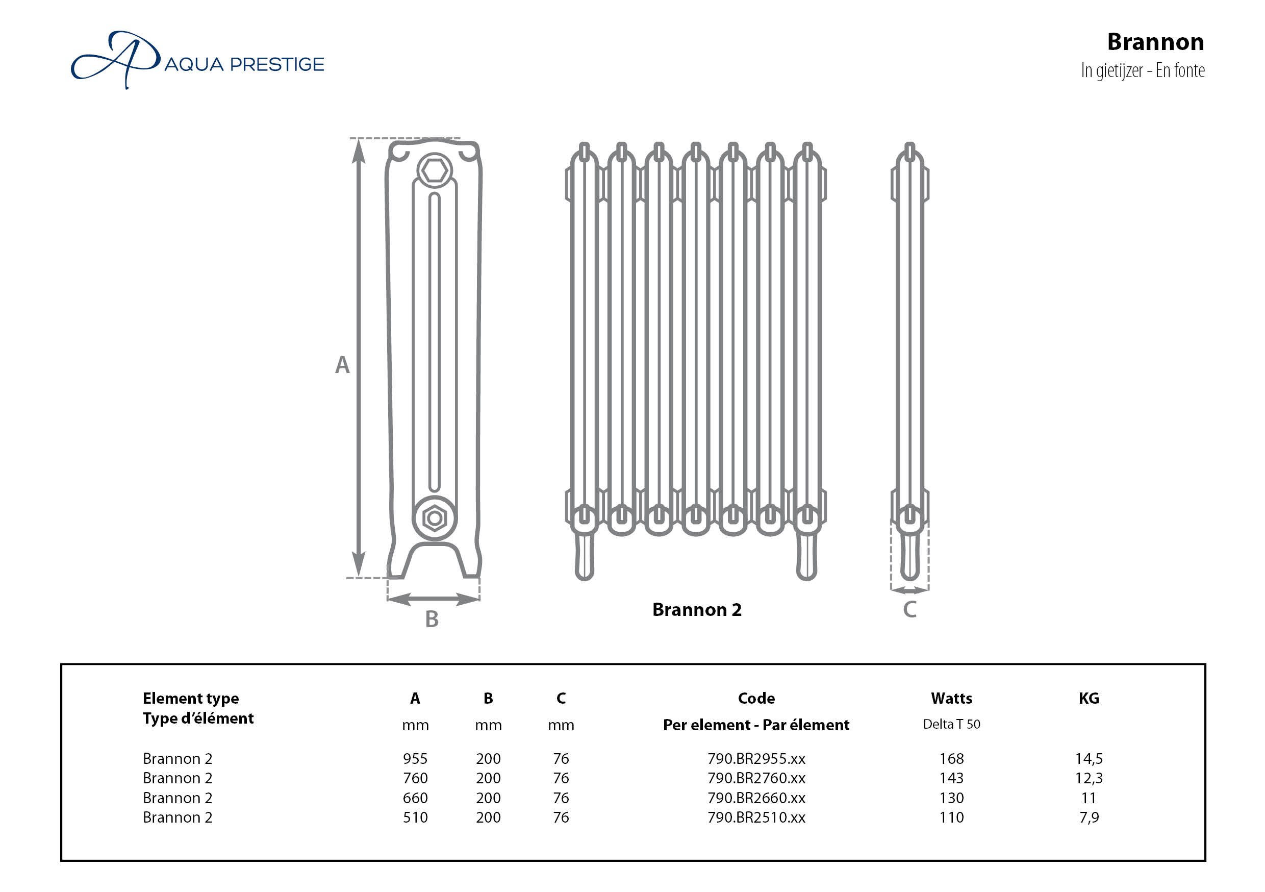 Zoeken Bekend Tot stand brengen Brannon 2 gietijzeren radiator (2 koloms)