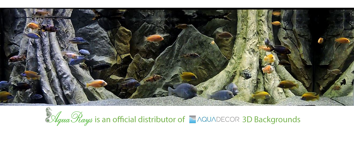 Aquadecor 3D Background