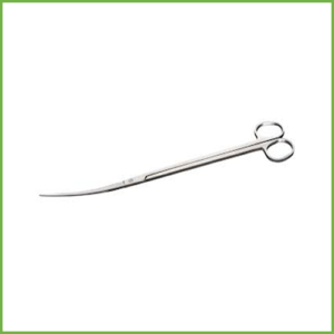 Stainless Steel Scissors