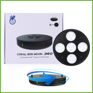 Coral Box Moon 360 LED