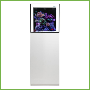 Waterbox CUBE 20 with White Cabinet