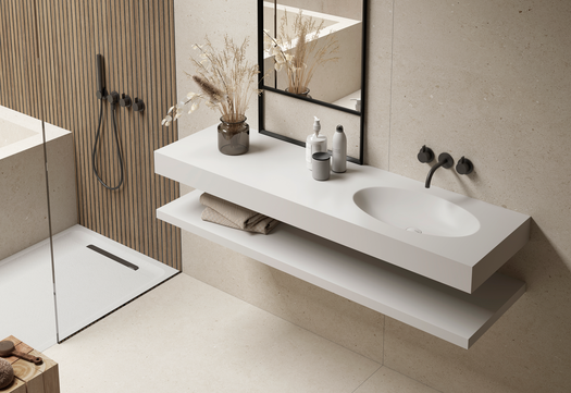 Plan vasques avec un magnifique grand lavabo ovale