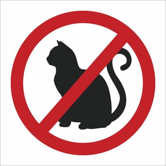 PLACA PROIBIDO GATOS