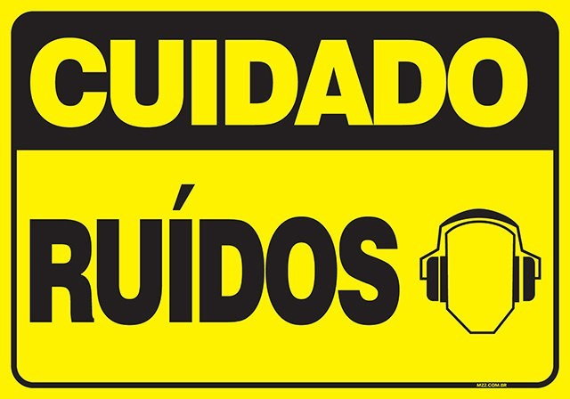 PLACA RUÍDOS