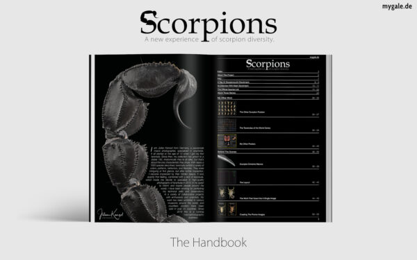 The Diversity of Scorpions 24×36 Poster With PDF Handbook
