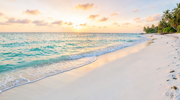 7-day beach escape with flights and hotel included: A Guide to Analyzing Travel Packages