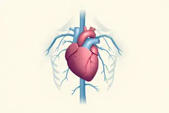 Early symptoms of hypertension you should know: Clinical insights into the silent progression of elevated blood pressure