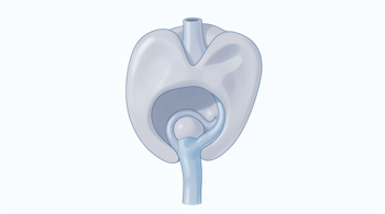 Warning signs of prostate cancer: An analysis of clinical markers and early detection