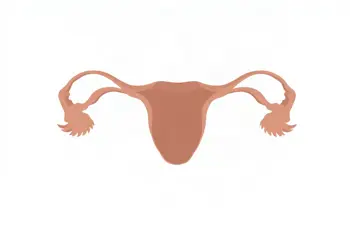Warning signs of vulvodynia: A clinical overview of chronic vulvar discomfort