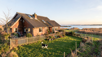 Ferienhaus an der Nordsee mit Hund 2026: Ein Marktüberblick für Hundebesitzer