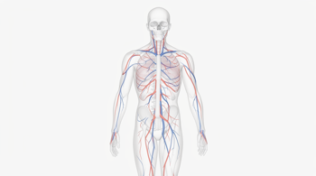 Ways to manage everyday nerve discomfort: Clinical insights on therapeutic approaches and lifestyle adjustments