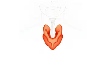 Warning signs that may indicate thyroid disease: Clinical perspectives on gland dysfunction and early detection
