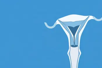 Warning signs of cervical cancer: Clinical insights on early detection and symptom evaluation
