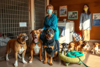 Find local rescue dogs and puppies available for adoption: A location, suitability, and welfare guide