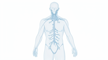 Early symptoms of lymphoma you should know: A clinical guide to identification and medical assessment