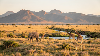 5-night all-inclusive Kidepo Valley package with flights and hotel: An objective planning review