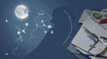 Zinco per una migliore qualità del sonno: analisi delle evidenze e indicazioni pratiche