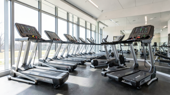 Commercial Elliptical Trainers: Technical Engineering and Market Standards
