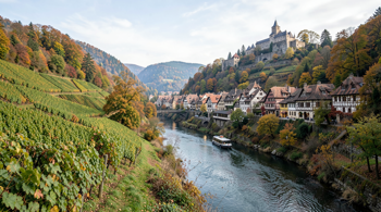 5-Tage-Rundreise durch das Moseltal mit Hotel und Weinverkostung: Ablauf, Leistungen und Einordnung