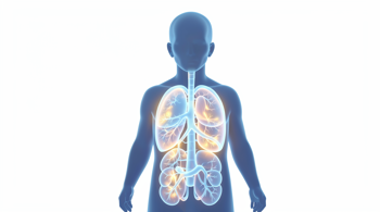 Warning signs of lupus: Understanding the clinical indicators and multisystemic nature of the condition