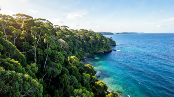 7-night all-inclusive Cairns rainforest package with flights, hotel and meals: Industry Report and Planning Guide