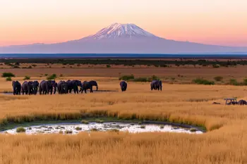 Safari au Kenya : 10 jours tout compris : Analyse structurelle des circuits et des parcs nationaux
