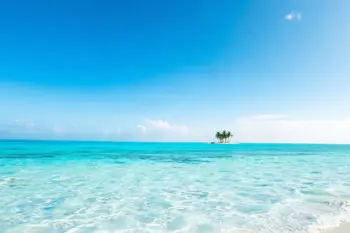 All-inclusive 7-day packages to Aruba: Market Dynamics and Travel Planning Guide