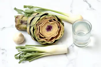 Natural remedies for managing occasional bloating: An analytical overview of clinical approaches
