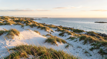 Analyse af det nordjyske friluftsliv: 3-dages kystophold ved Skagen med fuld forplejning og naturvandringer 2026