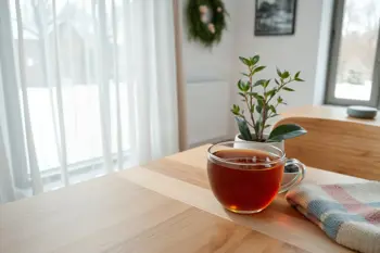 Natural remedies for managing dry winter air discomfort: A research-based overview of seasonal environmental management