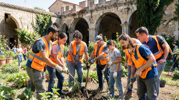 Voluntariado de verano en España 2026: Guía analítica de proyectos sociales, ambientales y culturales