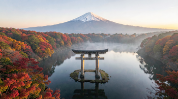12-dia itinerário de descoberta pelo Japão com voos incluídos 2026: Guia Analítico Completo