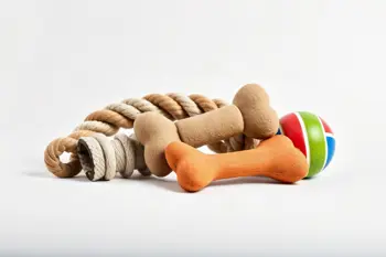 Brinquedo mordedor para cães 3 peças: Guia informativo sobre seleção, segurança e benefícios comportamentais