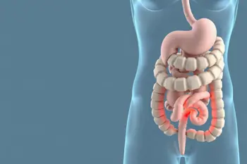 Warning signs of celiac disease: An analytical overview of clinical indicators