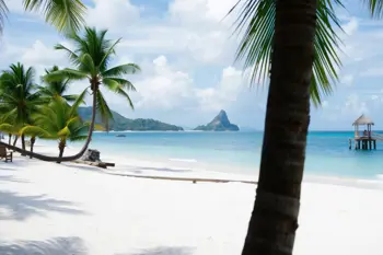 7 nuits en forfait tout compris à la plage en Martinique avec vols : analyse des formules et points de contrôle