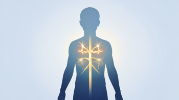 Warning signs of type 2 diabetes: A clinical analysis of early detection and metabolic indicators