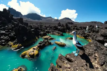 Flights included cruise packages to the Galápagos Islands: A Comprehensive Analysis of Travel Logistics and Operator Inclusions