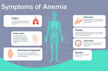 Warning signs of anemia: An analytical overview of clinical indicators and diagnostic considerations