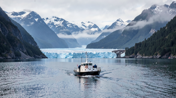 Alaska coastal cruises through Glacier Bay in summer: Routes, conditions, and expedition choices