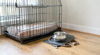 What to know before adopting a rescue dog: A Comprehensive Industry Analysis and Preparedness Report