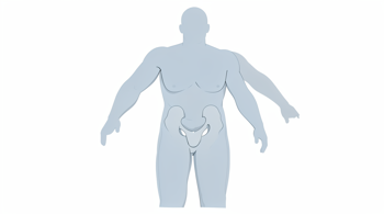 Warning signs of prostate cancer: An analytical review of clinical symptoms and diagnostic considerations
